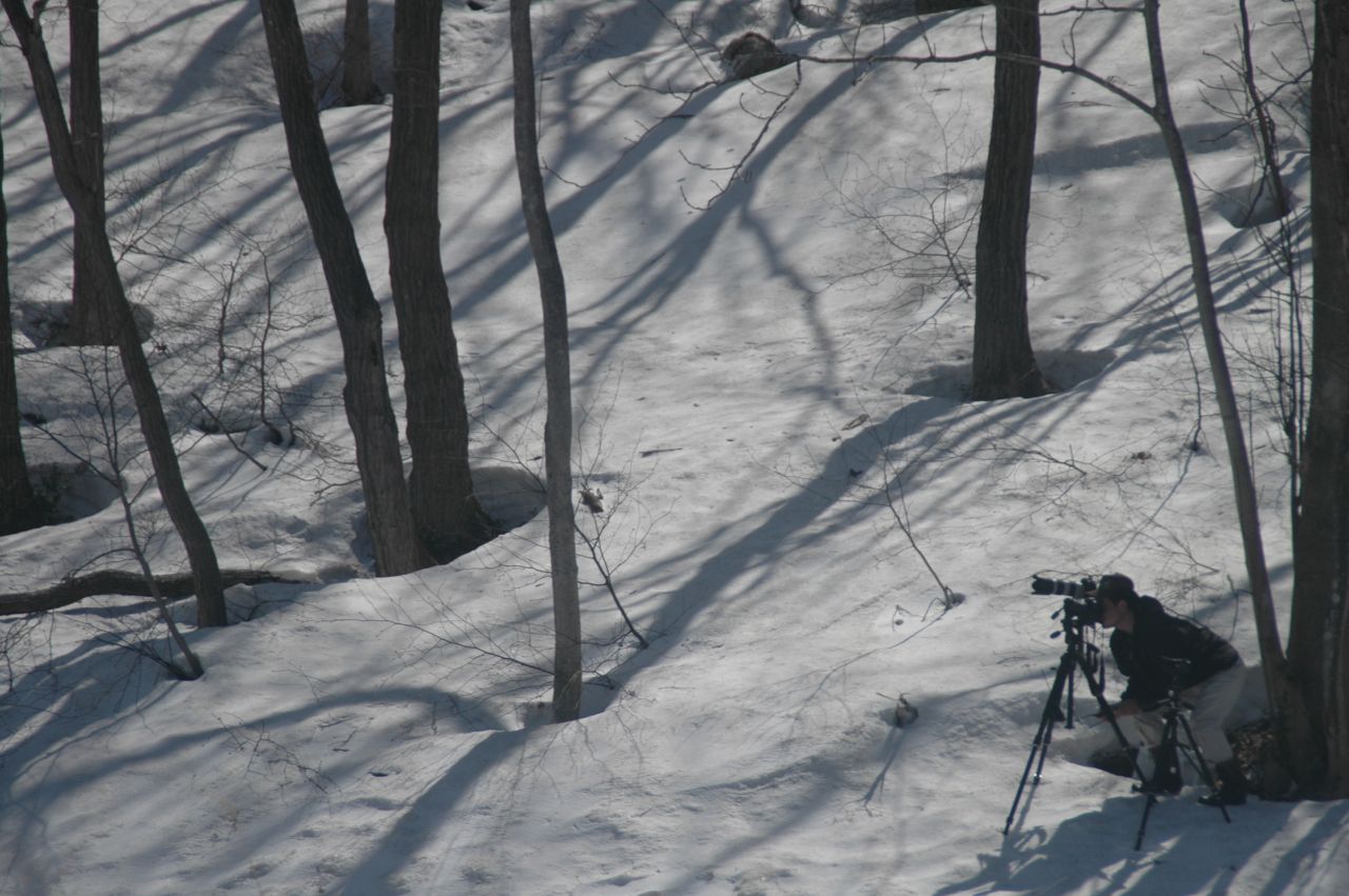 �_�̕�����̍�i�A��͑҂��Ă����t