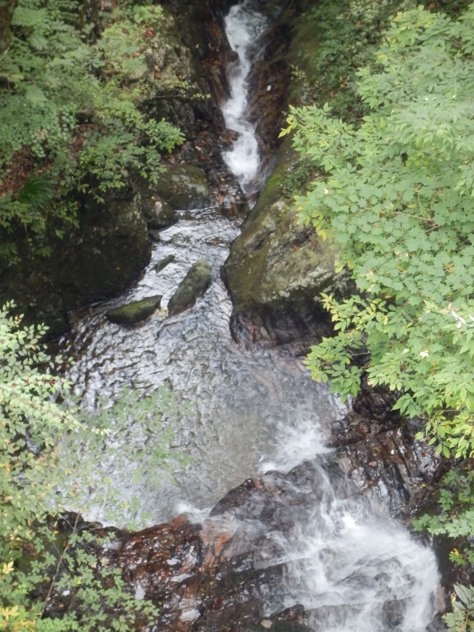 �^�̏�����̍�i�A��͑��