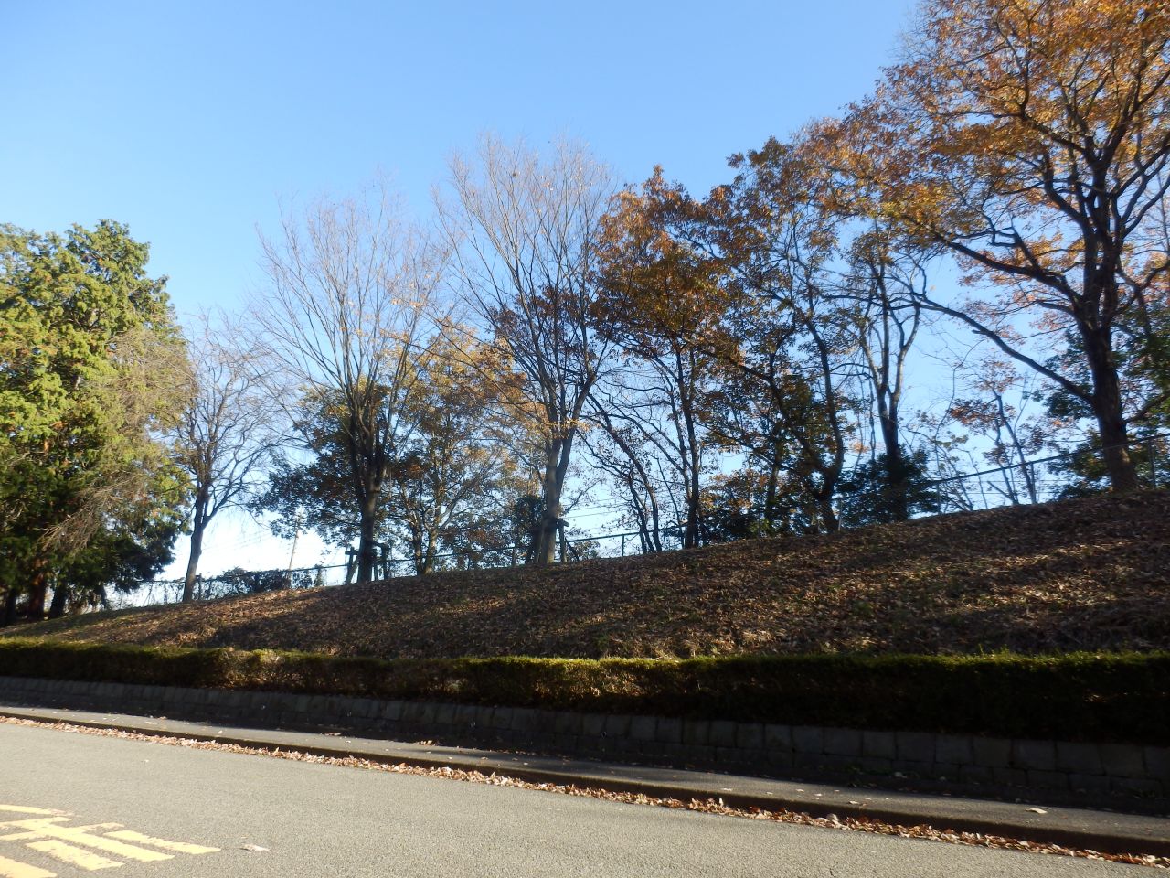 �����V������̍�i�A��͓~�̎U����