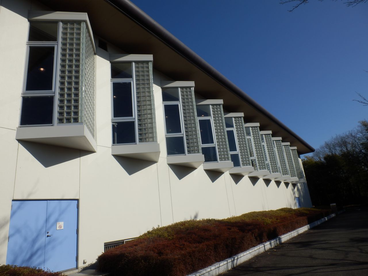 �����V������̍�i��̓����Y